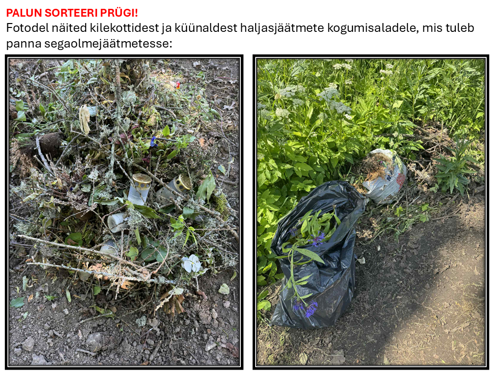 Fotodel näited kilekottidest ja kalmuküünaldest haljasjäätmete kogumisaladel, mis tuleb panna segaolmejäätmetesse