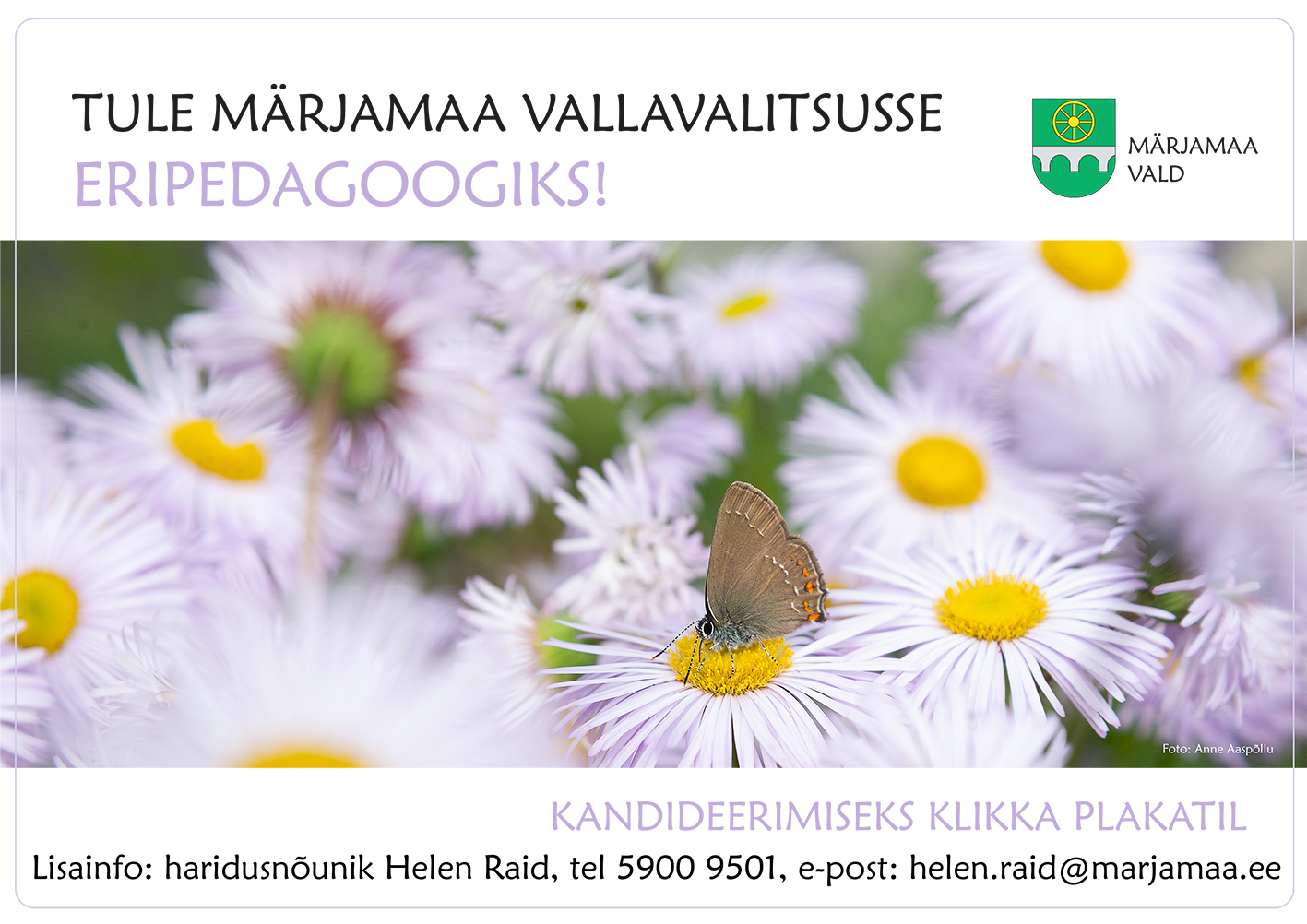Ülal mustas kirjas tekst: Tule Märjamaa Vallavalitsusse. Teksti all helelillas kirjas tekst: eripedagoogiks! Paremal on roheline kuldse ratta ja hõbedase sillaga Märjamaa valla vapp. All on foto helelilladest väikeseõielistest astritest, ühel õiel istub suletud tiibadega pruunikas liblikas. All helelillas kirjas tekst: Kandideerimiseks klikka plakatil. Selle all mustas kirjas: Lisainfo: haridusnõunik Helen Raid, tel 5900 9501, helen.raid@marjamaa.ee.