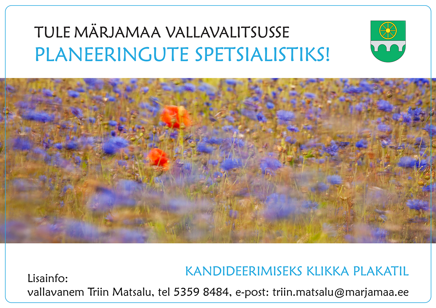 Ülal mustas kirjas: Tule Märjamaa Vallavalitsusse. Selle all helesinises kirjas: planeeringute spetsialistiks.  Teksti kõrval paremal on roheline kuldse ratta ja hõbedase sillaga Märjamaa valla vapp. Teksti all on foto sinistest rukkililledest, mille keskel õitsevad kaks punast mooni. Pildi all helesinises kirjas: kandideerimiseks klikka plakatil. Selle all mustas kirjas: Lisainfo vallavanem Triin Matsalu, tel 5359 8484, triin.matsalu@marjamaa.ee.