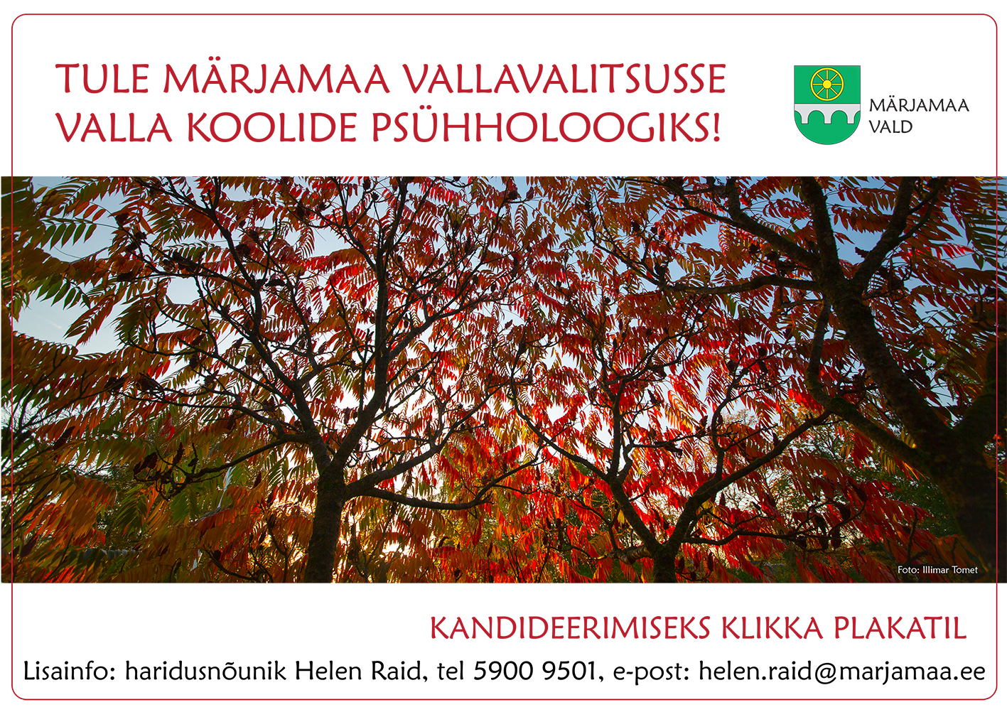 Ülal punases kirjas tekst: Tule Märjamaa Vallavalitsusse valla koolide psühholoogiks! Tekstist paremal on roheline kollase ratta ja hõbedase sillakukutisega Märjamaa valla vapp. All on pilt kollaste lehtedega puuvõrast. All punases kirjas tekst: Kandideerimiseks klikka plakatil. Lisainfo: haridusnõunik Helen Raid, tel 5900 9501, helen.raid@marjamaa.ee.